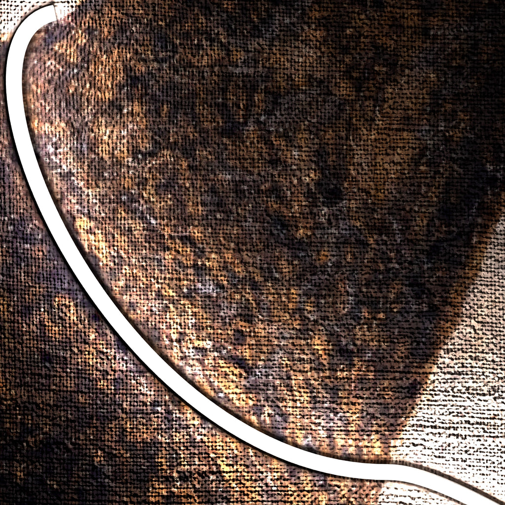 The Quiet Signal